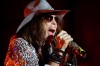 Aerosmith show ends after Tyler falls from stage