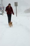 1029 DwdSnow.jpg