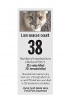 Lion season update