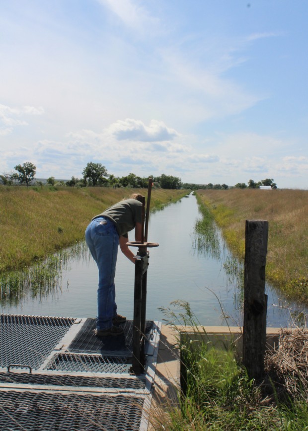 What it takes to be a ditch rider Community