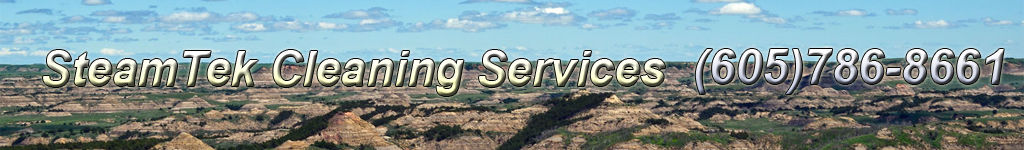 SteamTek Cleaning Services