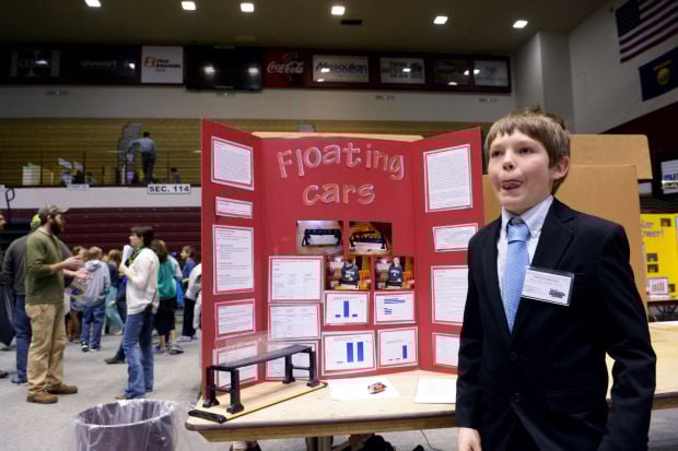 dog science fair projects dog science fair projects