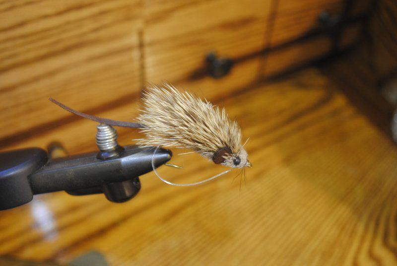 Gwizdz's Gadgets and Gear: Mice - Traverse City Record Eagle