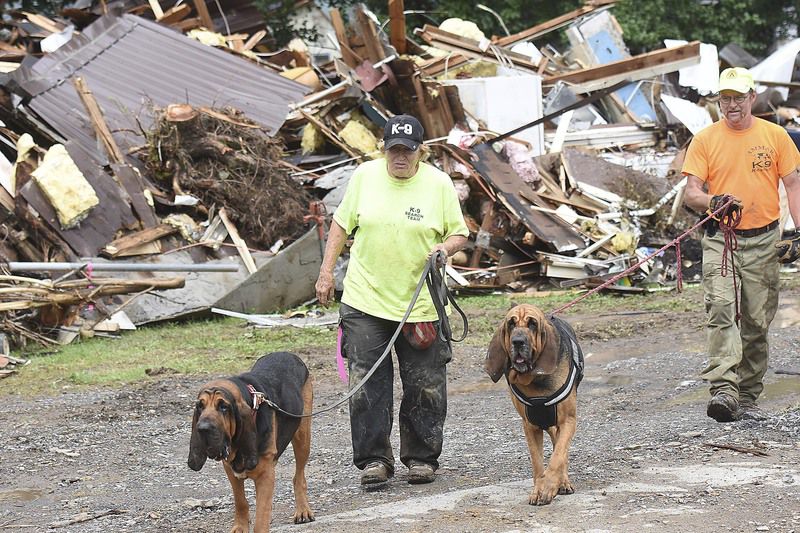 Image result for cadaver dogs