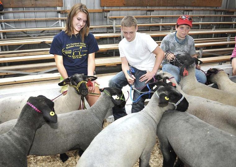 West virginia state fair coupons