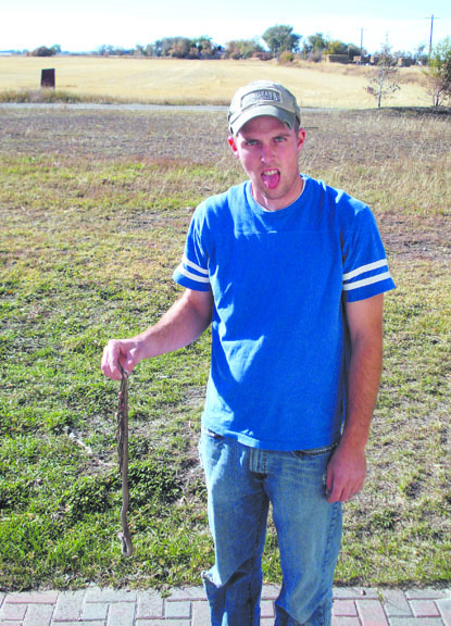 Idaho house infested with snakes, ex-residents say