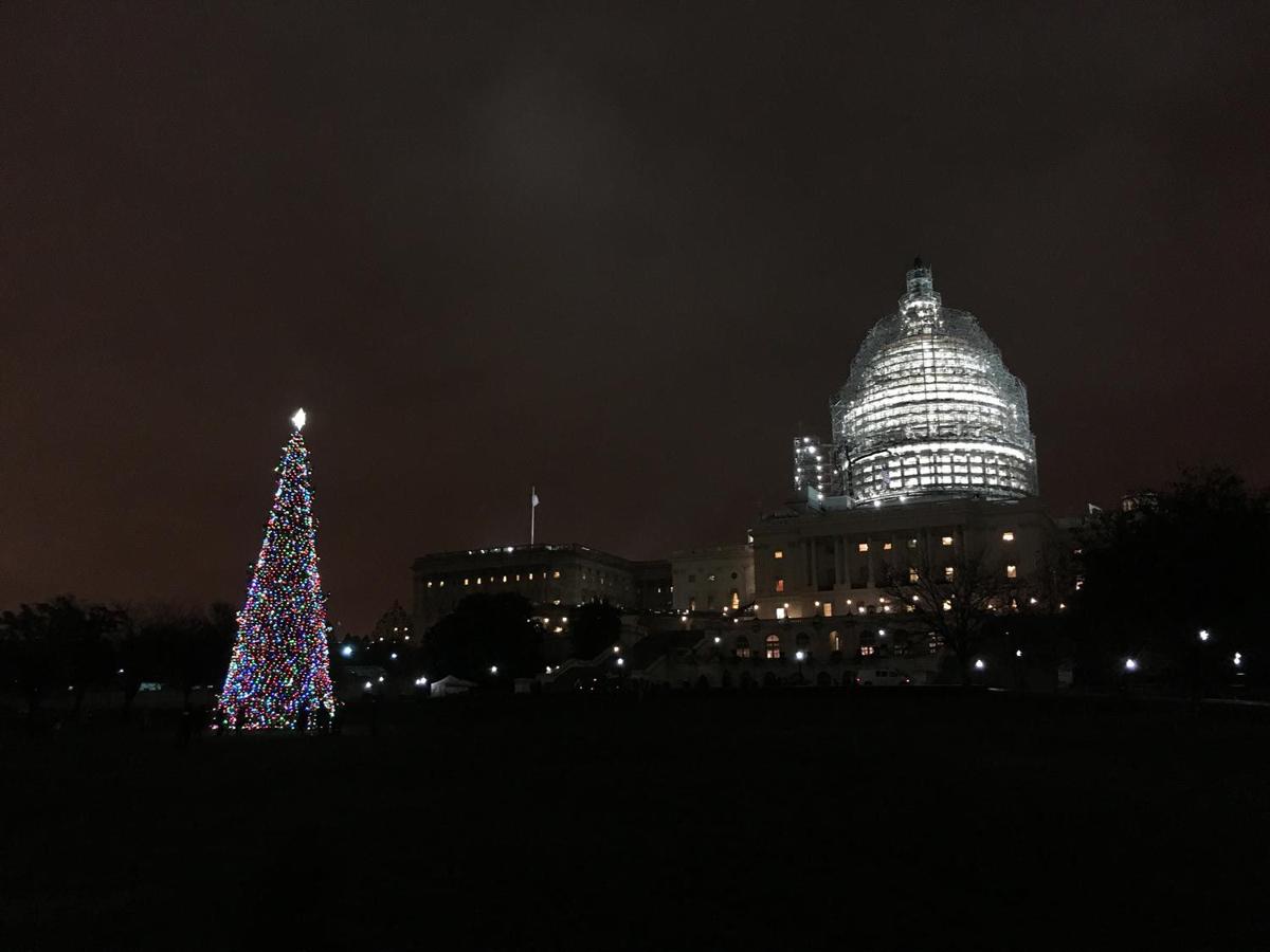 us capitol christmas tree to be cut nov 5 near mccall us capitol christmas tree to be cut nov 5 near mccall