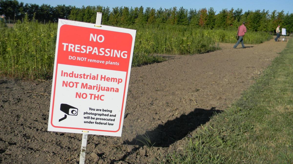 Hemp field warning