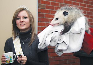 Possum Queen