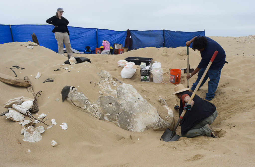 Archaeologists Unearth Set Piece From 'Ten Commandments' | Local News ...