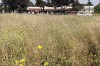 High fire season to start Friday
