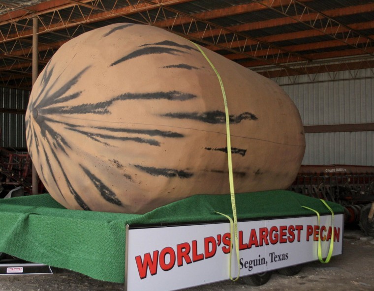 New ‘Largest Pecan’ to debut at July 4 parade Seguin Gazette News