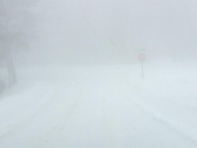 white out conditions