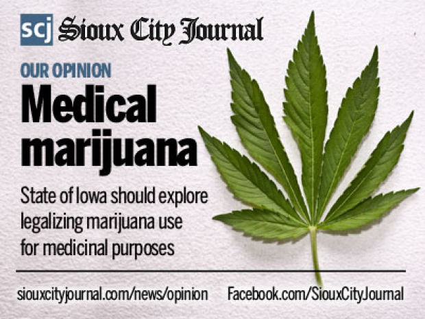 marijuana should it be legalized essay marijuana should it be legalized essay