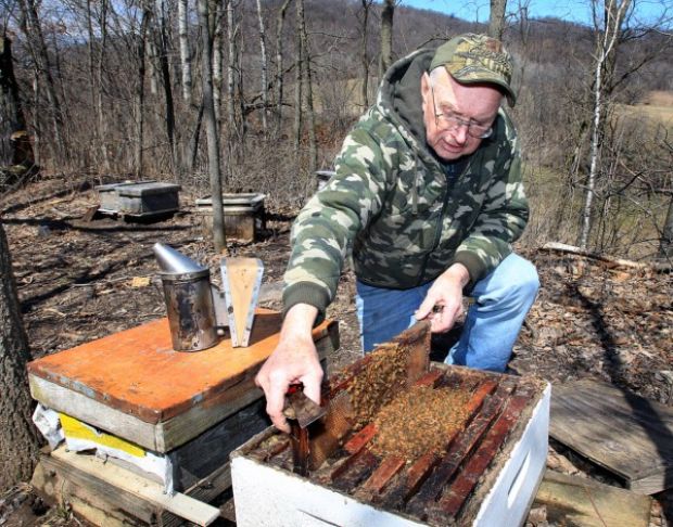 Beekeeper