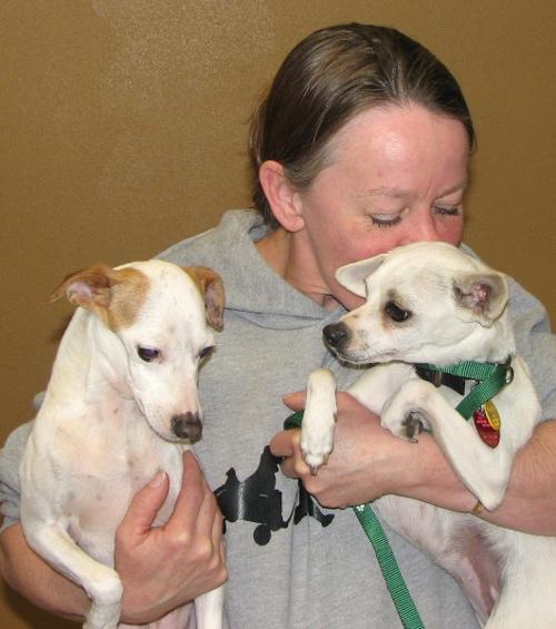 Noah's Hope Animal Rescue Uploadedimages