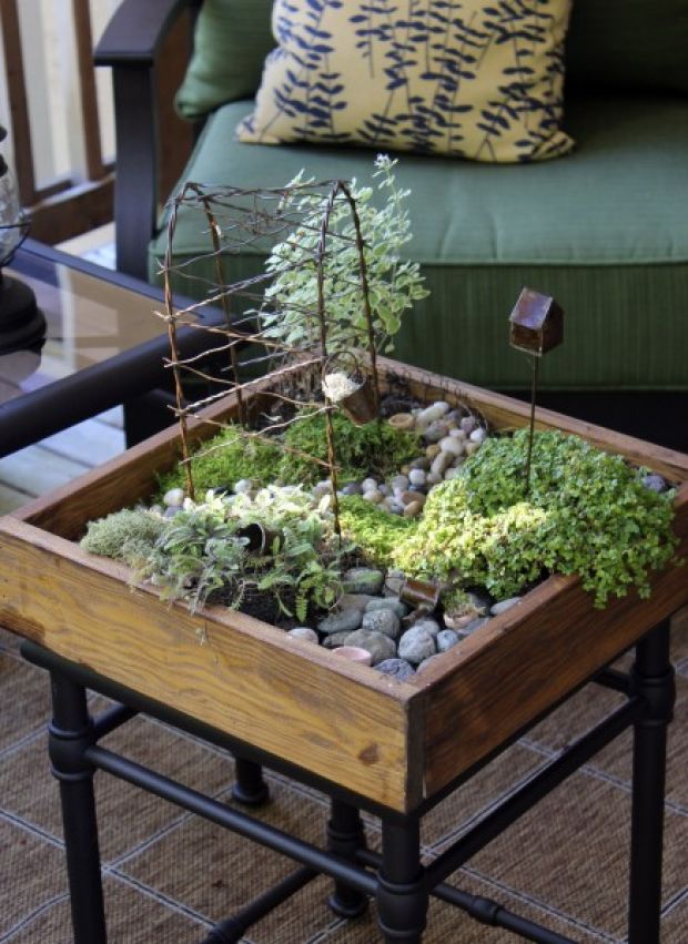 Tiny Treasures Fairy gardens provide an indoor forest