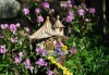 Art can add whimsy, fun, beauty to a garden  