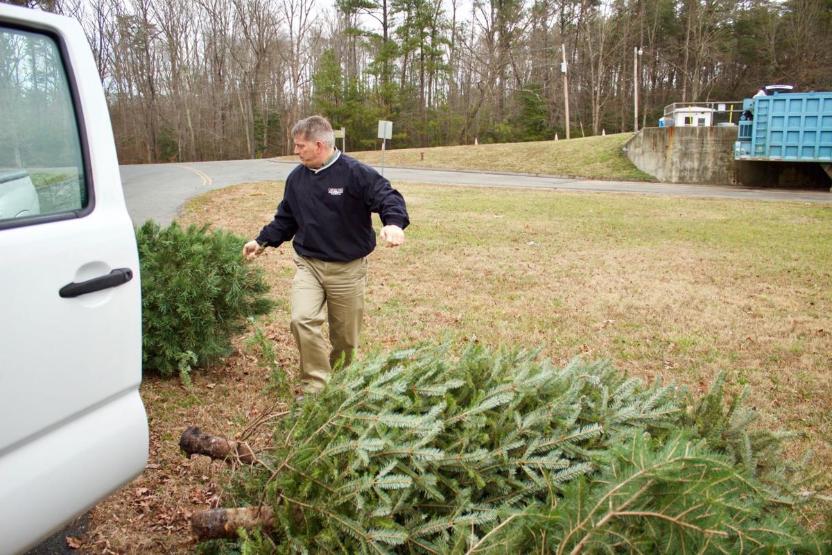 what to do with your christmas tree after christmas what to do with your christmas tree after christmas