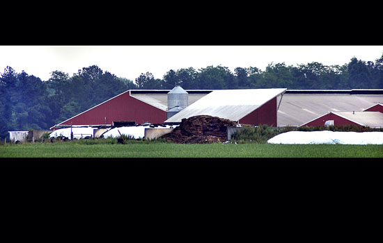 kennedyville men Maryland state police and fire crews recovered the bodies of three pennsylvania men early thursday from a manure pit at a kent county dairy farm police have tentatively identified the. kennedyville men Maryland state police and fire crews recovered the bodies of three pennsylvania men early thursday from a manure pit at a kent county dairy farm police have tentatively identified the.