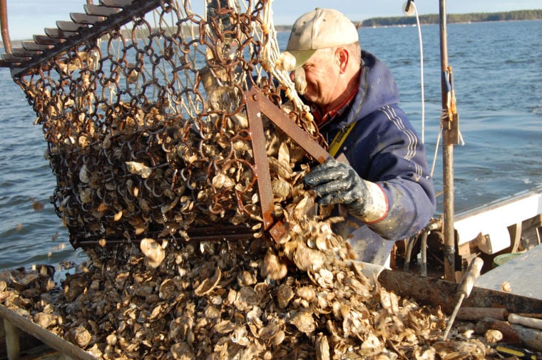 what is an oyster dredge made of