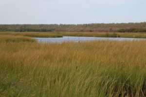 Poplar Island expansion sees pushback from neighboring island owners