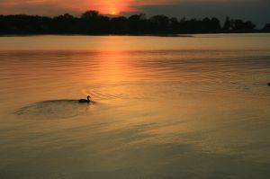 <p>The U.S. Supreme Court on Monday decided it would not hear a lawsuit that challenged the Environmental Protection Agency’s authority on setting pollution limits in the Chesapeake Bay watershed.</p>