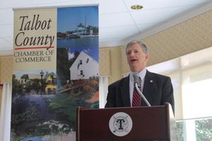 Trippe welcomed as new chamber chairman