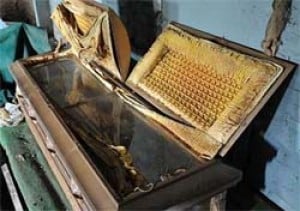 emmett casket smithsonian displayed burr scandal intact stlamerican archives quigley