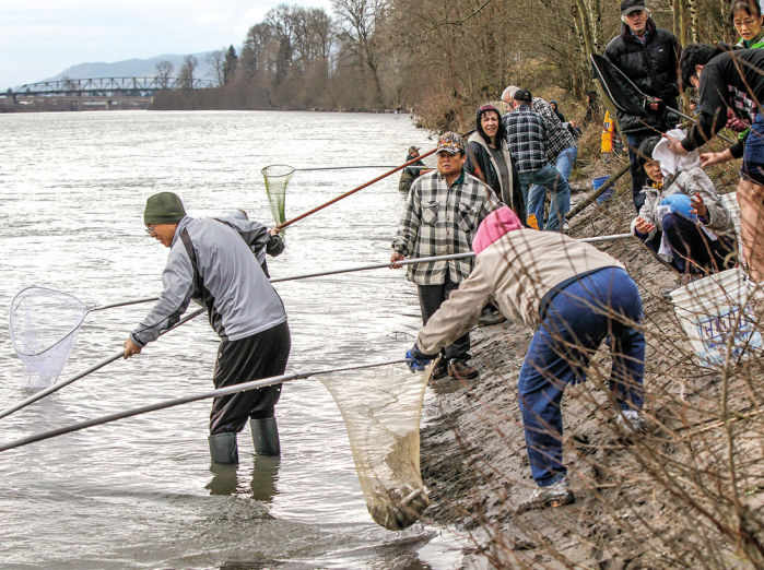 Last day of legal smelt dipping nets big crowd of fishermen
