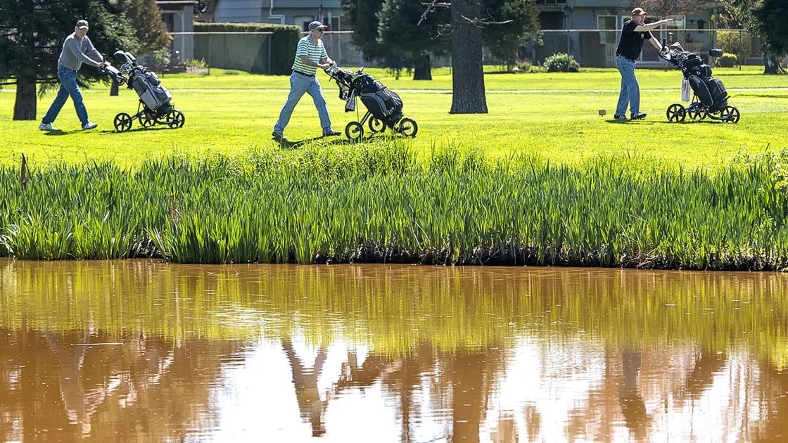 Record rain drives attendance down at local golf courses - Longview Daily News