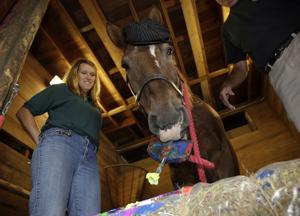 Carriage horse Nick picks up painting in retirement