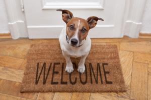 Visiting tips for dog owners and their guests during the holidays