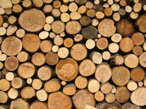 Northwest Hardwoods lays off more than 40 amid supply shortage