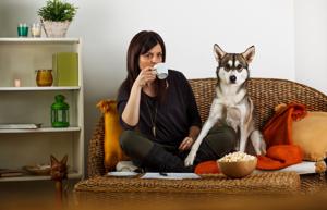 Tips for keeping a pet-friendly home clean and odor-free