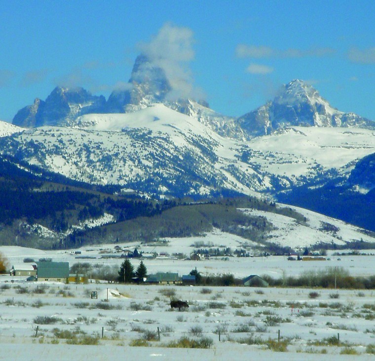 Bud Hills Security & Service Tetonia, ID