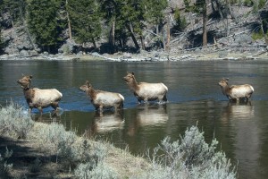 River Crossing