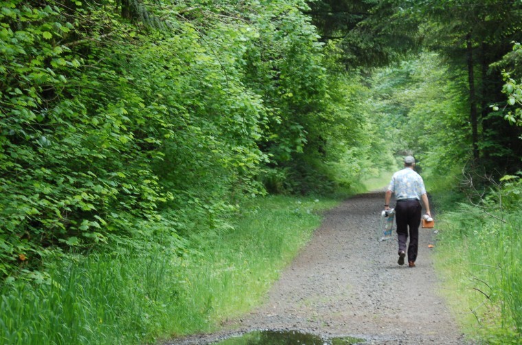 How should the Salmonberry Watershed be used? News