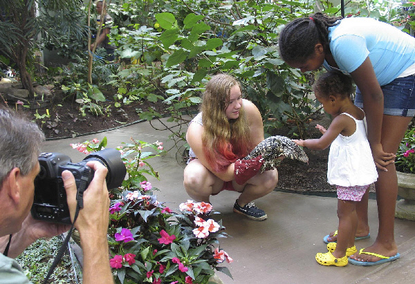 Discount coupons for butterfly conservatory cambridge