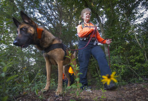 Training session held for canines in Bryan's Search Dog Network