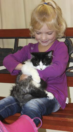 Two Day Humane Society Promotion Ends Today The Grand