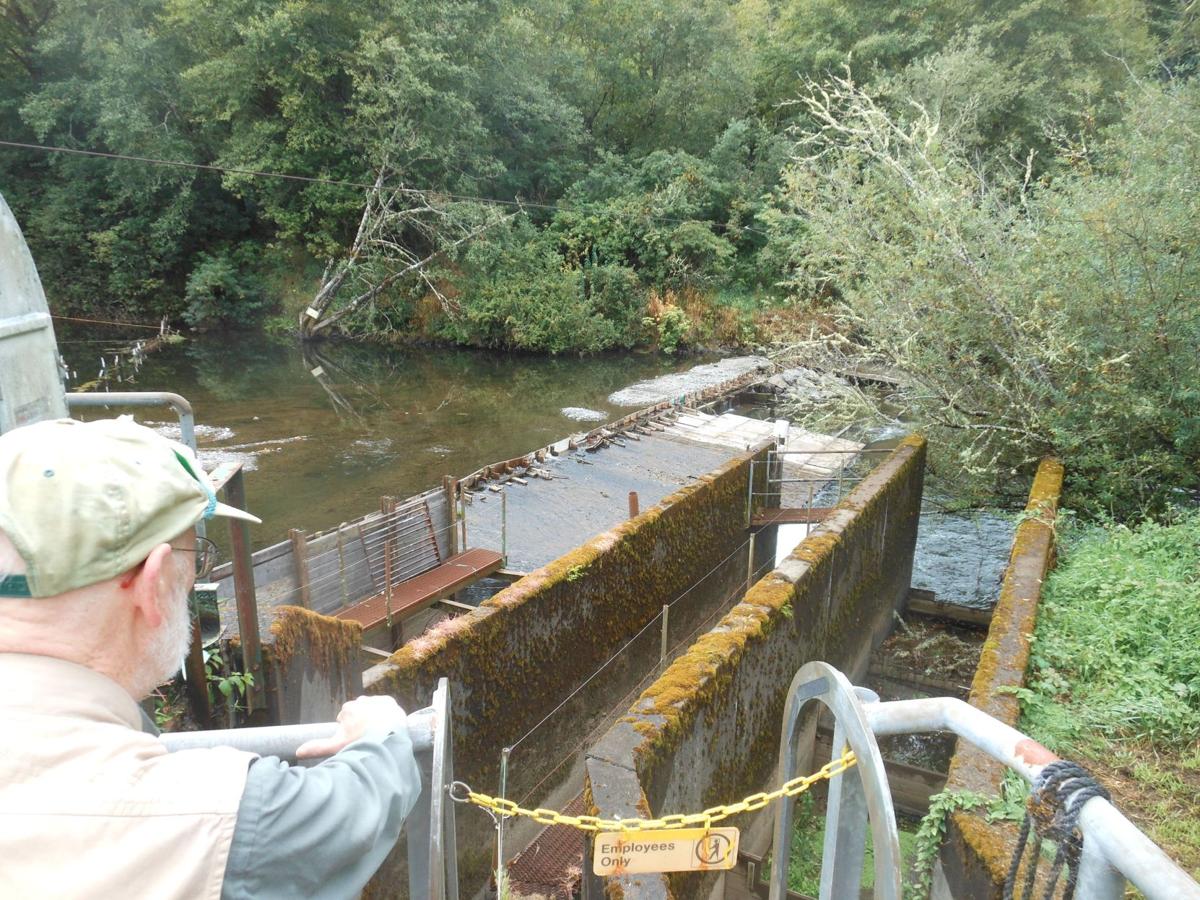 Salmon river hatchery prepares for Chinook season News