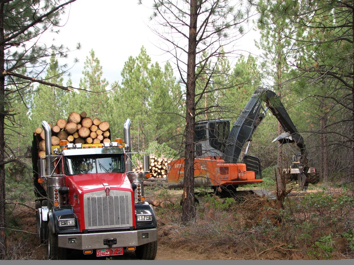 Oregon Timber Harvest Report Regional News