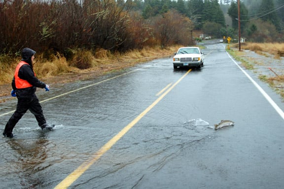 Why did the Salmon cross the road?