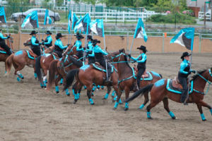 http://m.thereflector.com/mobile/horse_corral/article_5e590b16-9c83-11e2-9581-0019bb2963f4.html