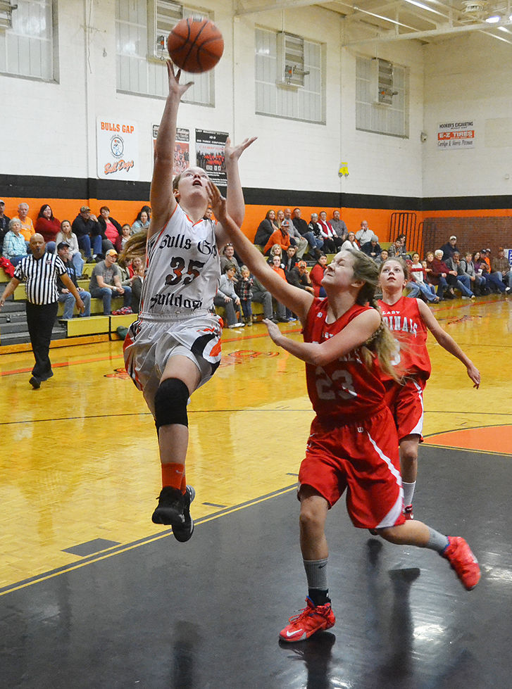 Bulls Gap splits pair with Fall Branch Sports