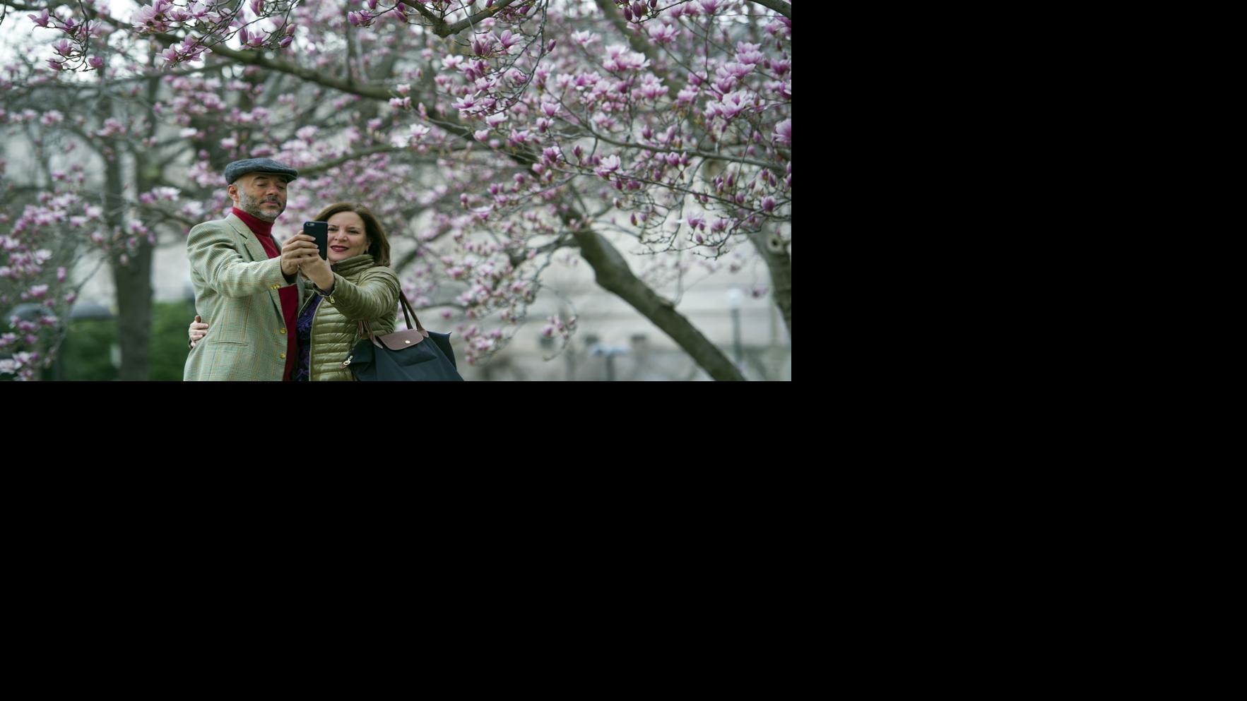 How your selfie could affect your life insurance - The Southern