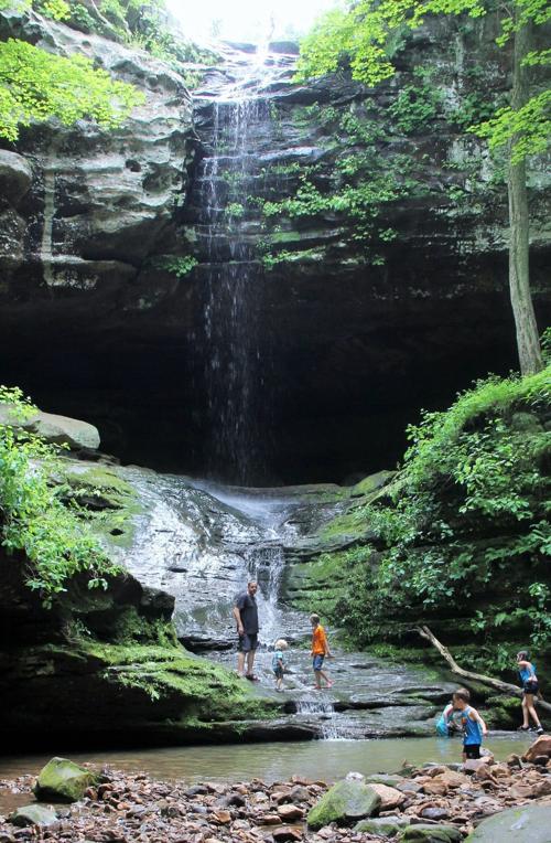 Escape to Tranquility: Discover the Hidden Gem of Ferne Clyffe State Park