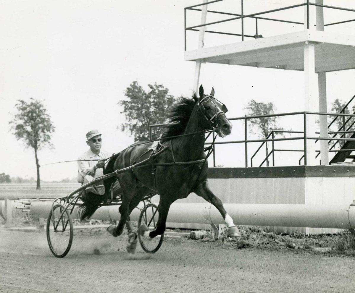 Photos Harness racing in Southern Illinois Photo Galleries