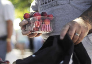 Better berries first hint of improved harvest for growing season
